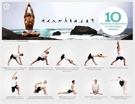 Infographic: 10 Essential Yoga Postures for Strength Athletes ...