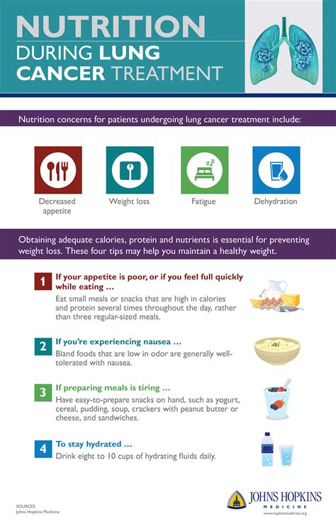 Nutrition During Lung Cancer Treatment: Infographic | Johns Hopkins Medicine