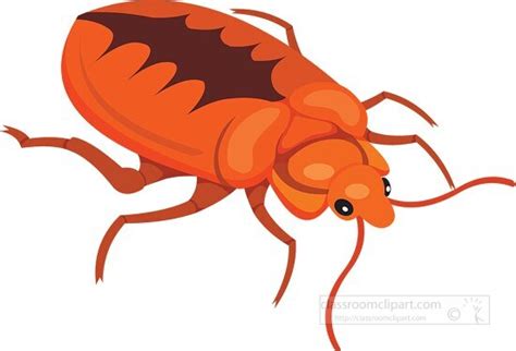 Insect Clipart-bed bug insect clipart