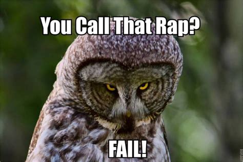 20 Hilariously Adorable Owl Memes