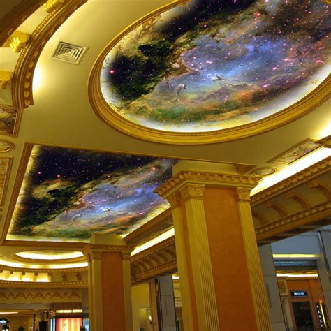 Ceiling Murals Night Sky