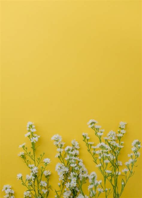 View 30 Yellow Aesthetic Gmail Icon - factblockpic