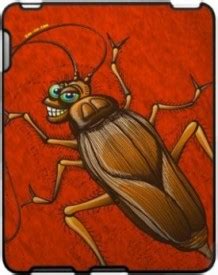 Cockroach Bite Identification, Treatment, and Prevention | Health Clover