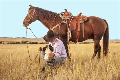 How To Tack Up With A Western Saddle. – Irish Sport Horse Magazine