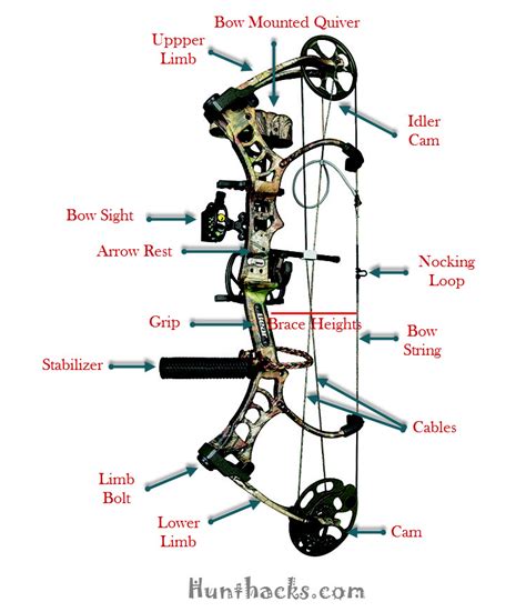 Best Compound Bow Reviews 2017 – Top Rated For The Money