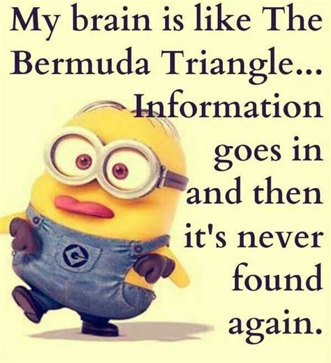 Best 40 Minions Humor Quotes | Quotes and Humor