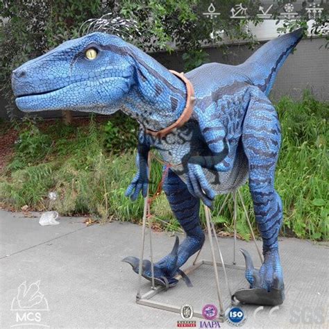 Exclusive Raptor Blue Costume With Bristles Feathers-DCRP717 | Dinosaur costume, Cute dinosaur ...