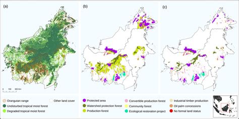 (a) Current ( ) Bornean orangutan distribution range, with a ... | Download Scientific Diagram