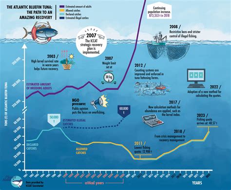 recovery-bluefin-tuna-2022-23 - Planet tuna