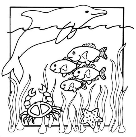 Aquatic Animals Coloring Pages - ColoringBay