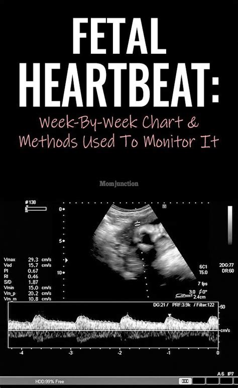 Fetal heart rate at 8 weeks