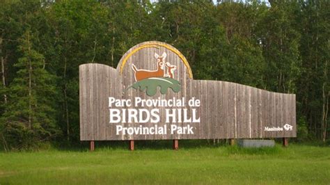 $22M Birds Hill Park Upgrade - Access Winnipeg