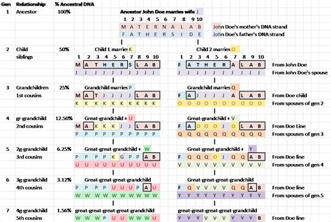 Concepts – How Your Autosomal DNA Identifies Your Ancestors | Dna genealogy, Family genealogy ...