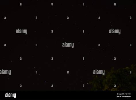 night sky & stars & trees Stock Photo - Alamy