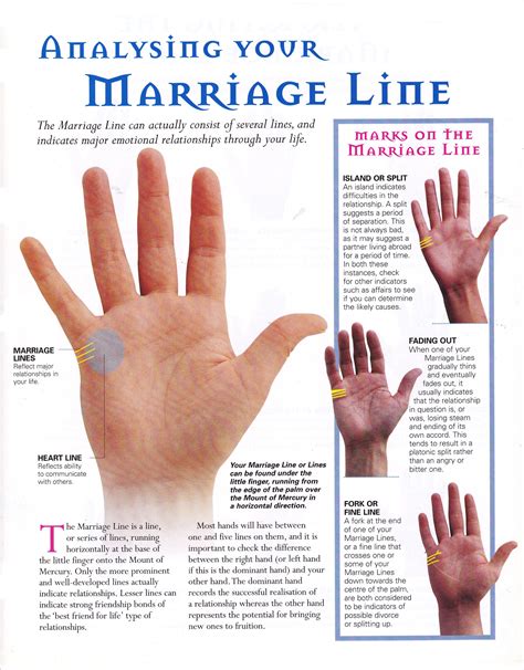 Palm Reading Guide Marriage Line – Yoiki Guide