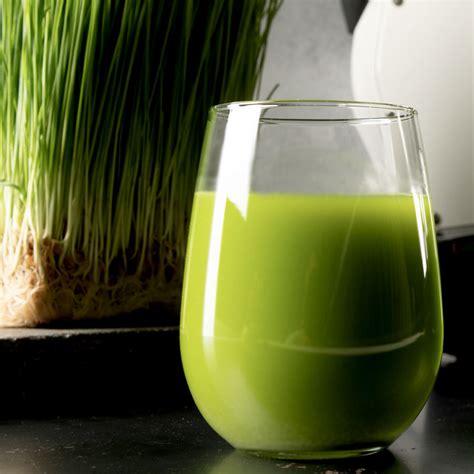 Wheatgrass Juice Recipe | Goodnature