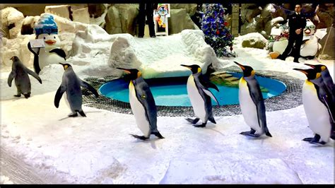 Ski Dubai || Mall Of The Emirates || Snow Park || Dubai Travel || Penguins - YouTube