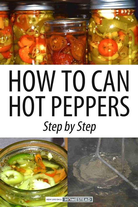 How to Can Hot Peppers Step by Step | Recipe | Stuffed hot peppers, Canning hot peppers, Hot ...