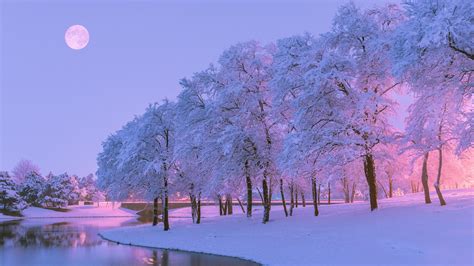 Full Moon Winter Wallpapers - Wallpaper Cave