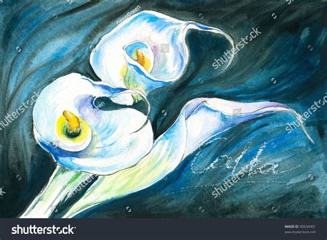 White Calla Lilies Watercolor Painted. Stock Photo 95630401 : Shutterstock