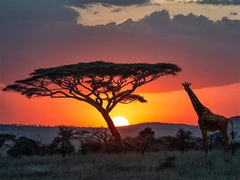 Default Web Site Page | Africa sunset, Africa travel, Scenery pictures