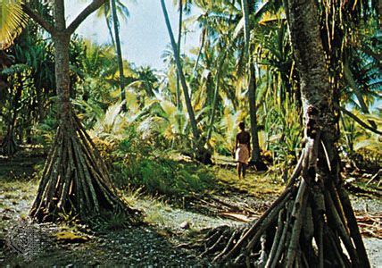 Kiribati | Culture, History, & People | Britannica