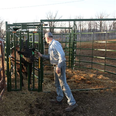 Calving Pens & Equipment | Calving Products | Arrowquip