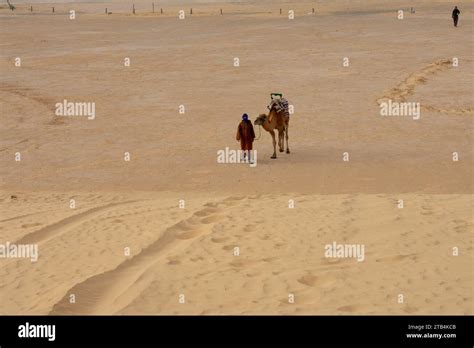 7.11.23: Sahara Desert, Tunisia: Sahara desert in Tunisia, North Africa. Beautiful landscape ...