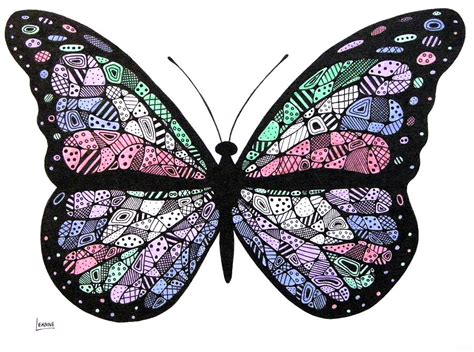 butterfly Art Drawing - Lorine Molter