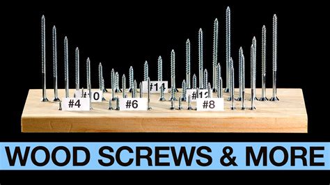 Sizes Of Wood Screws at Lewis Fidler blog