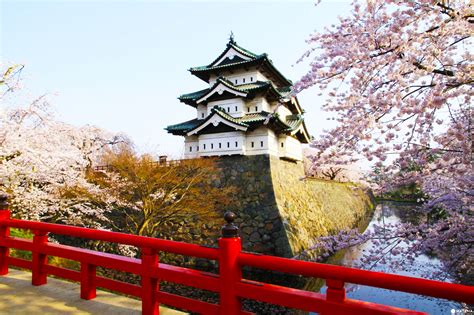 7 Tempat Terindah Melihat Bunga Sakura Di Jepang Image - Hirosaki Castle (#733207) - HD ...