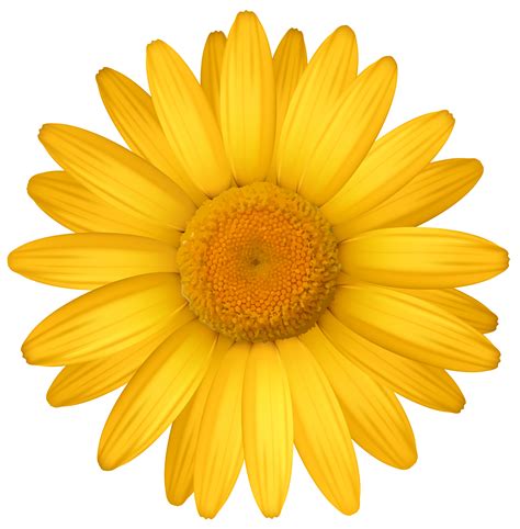 Free daisy clipart public domain flower clip art images and 2 7 - Clipartix