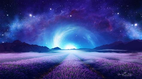 Lavender Field at Starry Night Wallpaper, HD Nature 4K Wallpapers, Images and Background ...