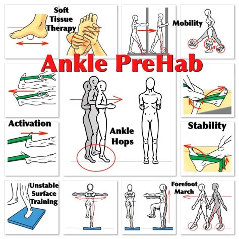 Spring into action with Ankle PreHab! Improve agility and increase ...