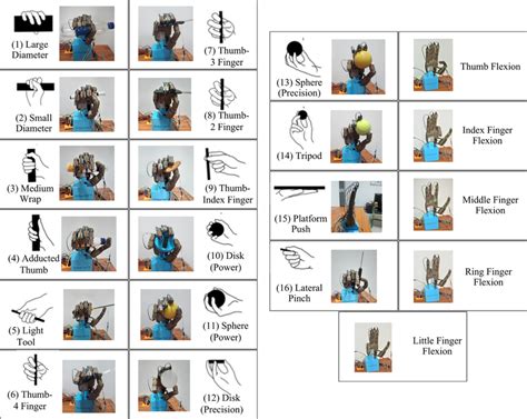 Grasp types and five finger movements by the prosthetic hand using the... | Download Scientific ...