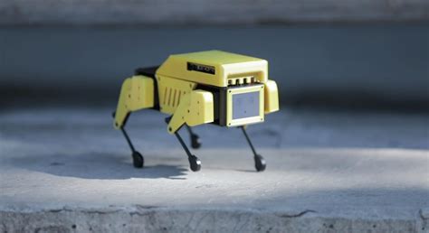 Mini Pupper could be your open-source miniature robo-dog