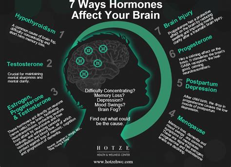 7 Ways Hormones Affect Your Brain - Hotze Health & Wellness Center | Houston TX Hormone Replacement