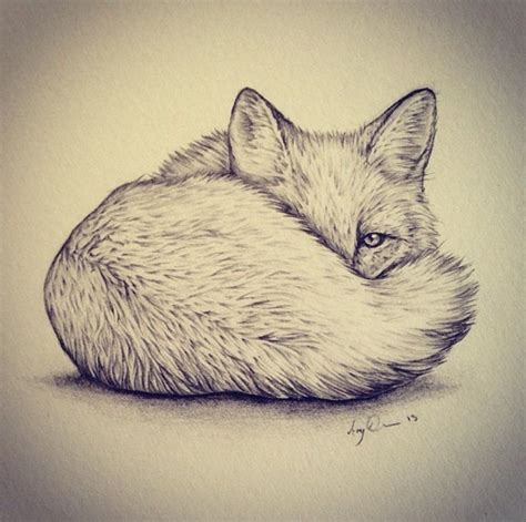 Realistic Fox Drawing at GetDrawings | Free download