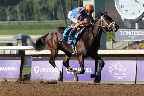 Fierceness favored in Florida Derby over Conquest Warrior, Hades | News ...