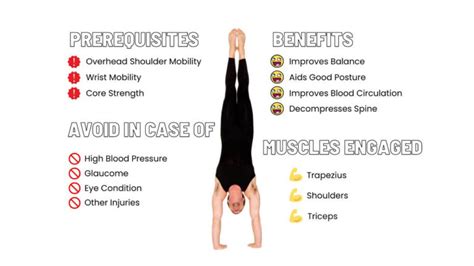 TOP Handstand Benefits And Muscles Worked | CALISTHENICS Workouts & Equipment