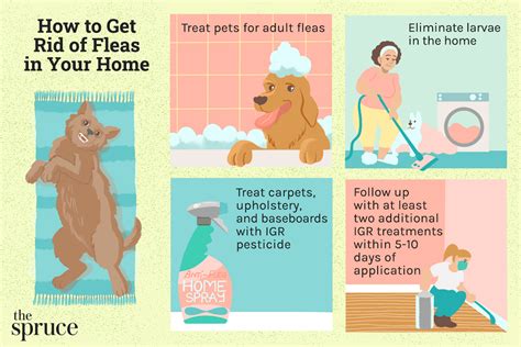 How To Treat Dog Fleas On Humans