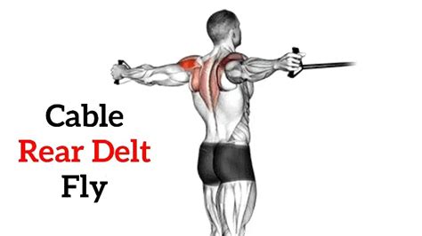 Rear Delt Cable Fly: How To Do, Muscles Worked, Tips