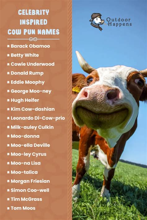 275+ Cute and Funny Cow Names 🐮 From Moodonna to Donald Rump