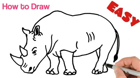 How to Draw Rhino ( Rhinoceros ) Easy Step by Step | Animals drawing tutorial for beginners