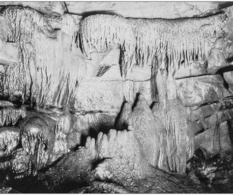 Ultimate Guide to Wyandotte Cave, Indiana (Tours, Pricing, History, Map ...