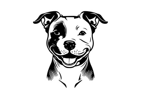 PITBULL SVG PITBULL Clipart Pitbull Svg Files for Cricut - Etsy