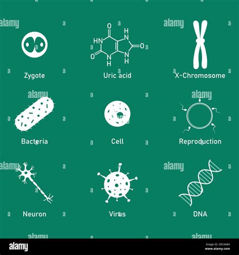 Biology science icon. Uric acid, bacteria, cell, neuron, virus, DNA, reproduction and zygote ...