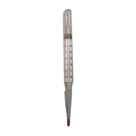 B10 Glass Laboratory Thermometer at Rs 180/piece | Laboratory Thermometer in Ambala | ID ...