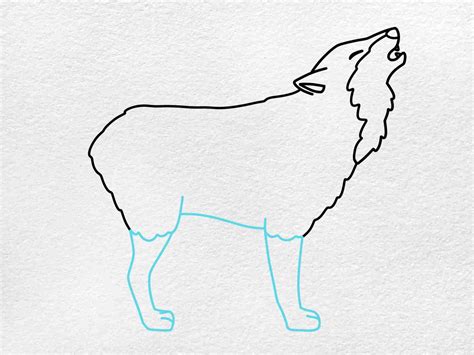 Simple Howling Wolf Drawing