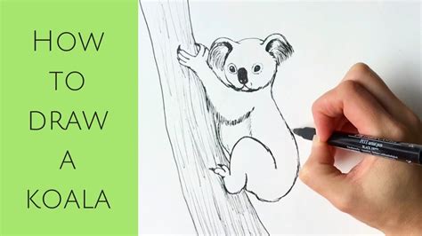 Koala Drawing